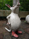 Raku stoken